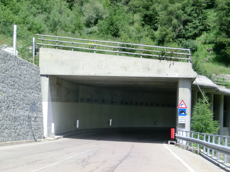 Rio Merlo Tunnel western portal