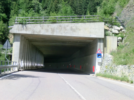 Rio Negazzano Tunnel eastern portal