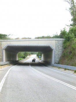 Mazzalaio Tunnel northern portal