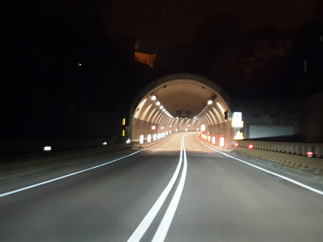 Corona Tunnel