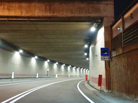 Tunnel de Taio 1