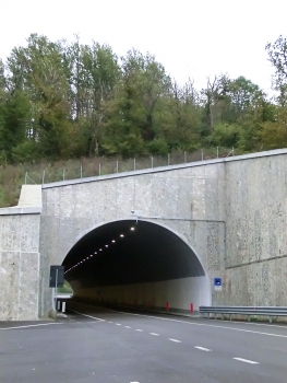 Colle del Pino Tunnel western portal