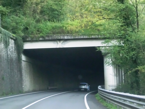 Gallicano Tunnel southern portal