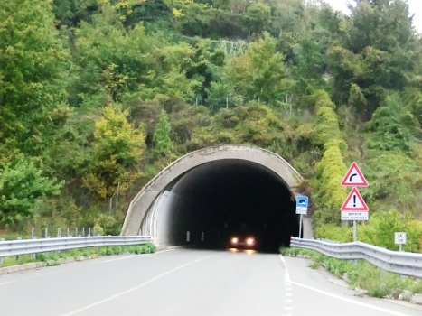 San Donnino Tunnel southern portal