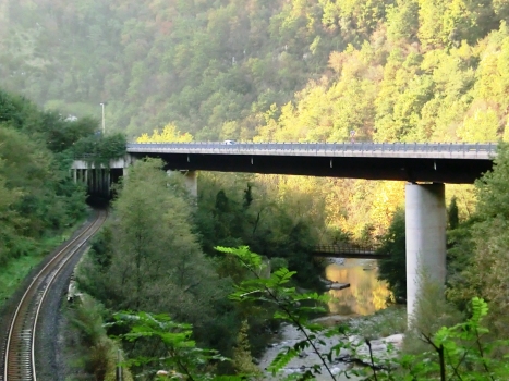 Serchio Viaduct and, on the left, Rotatoria SR445 Tunnel eastern portal