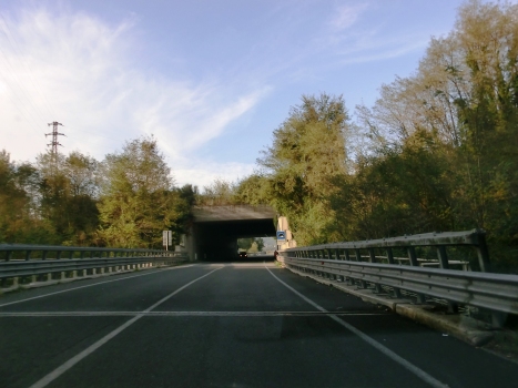 Cavatina Tunnel southern portal