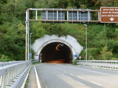 Le Lame Tunnel south-eastern portal