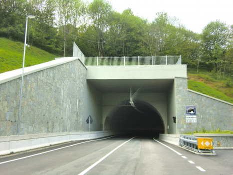 Costafontana Tunnel