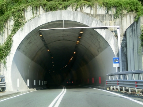 Della Paglia Tunnel western portal