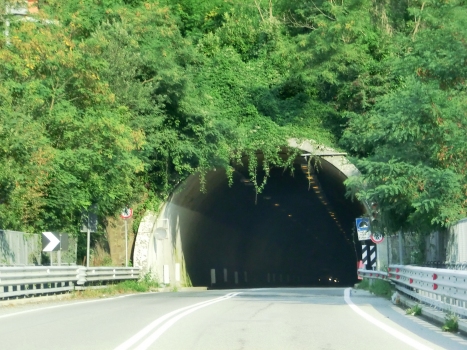 Madonna di Montebruno Tunnel western portal
