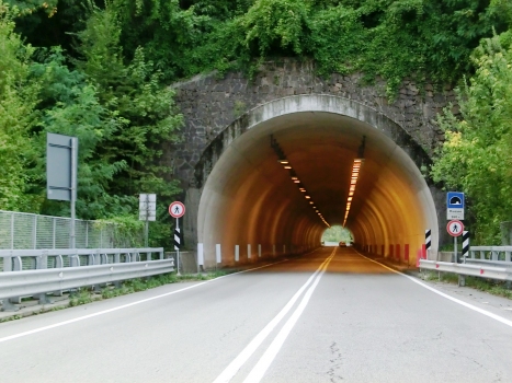 Marzano Tunnel northern portal