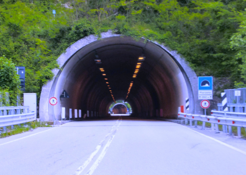 Marzano Tunnel