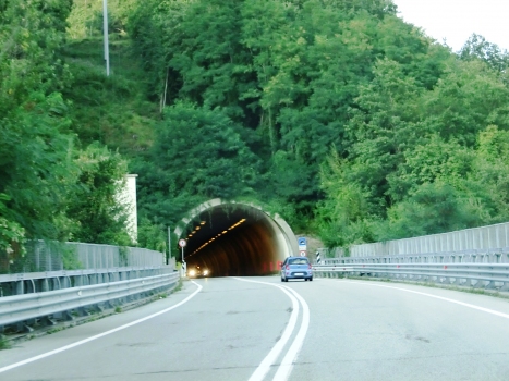 Marzano Tunnel southern portal
