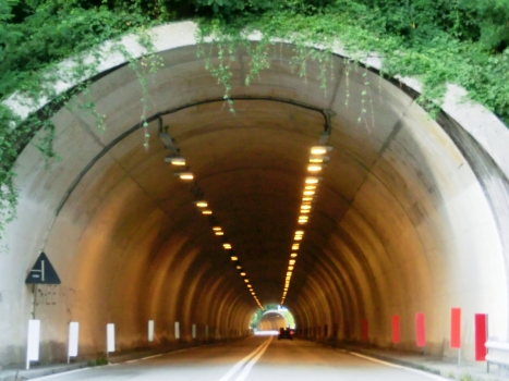 Marzano Tunnel southern portal