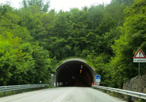 Poggio Pezzato Tunnel