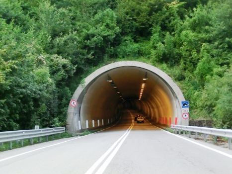 Poggio Pezzato Tunnel northern portal