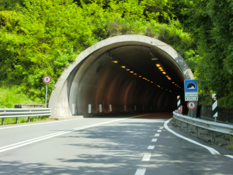 Poggio Pezzato Tunnel