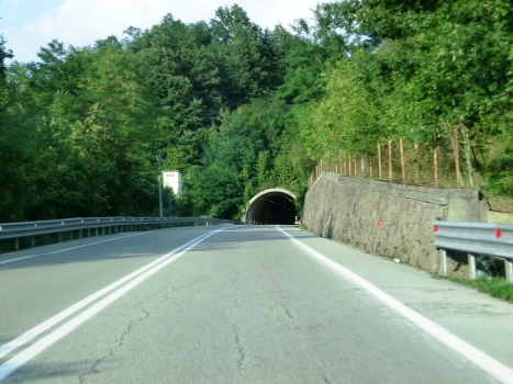 Poggio Pezzato Tunnel southern portal