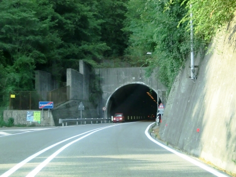 Scoffera Tunnel southern portal