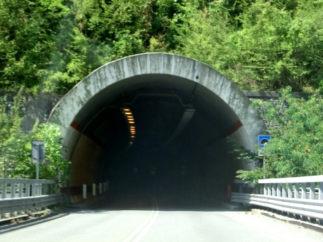 Borghetto Tunnel eastern portal