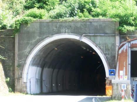 Fado Tunnel northern portal