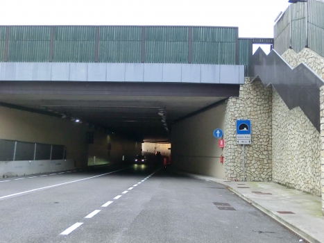 Ardaro Tunnel southern portal