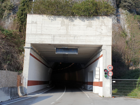 Punta Forbisicle-Campione Tunnel, branches Trento-Campione and Campione Brescia portal