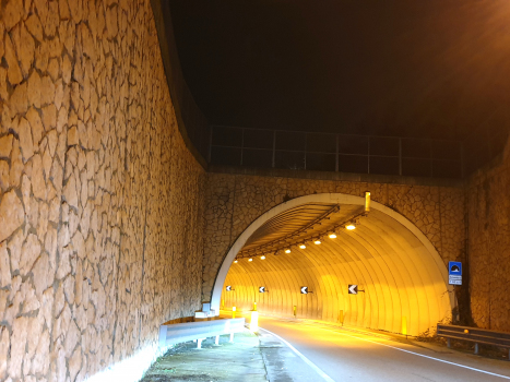 Colombaro Tunnel
