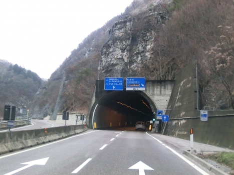 Del Forte Tunnel northern portal