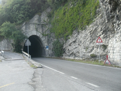 Eutenia Tunnel northern portal