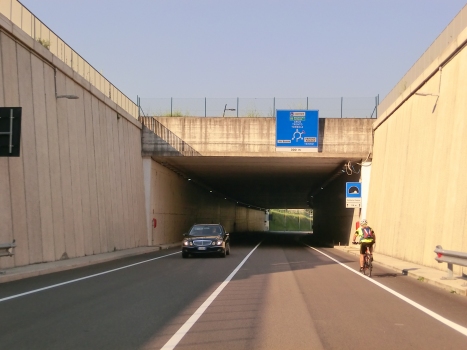 Pasina Tunnel western portal