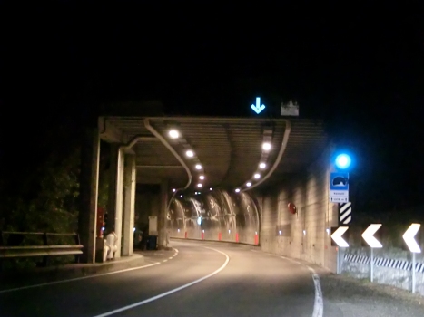 A. Rainelli Tunnel northern portal