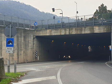 Tunnel de Seriola