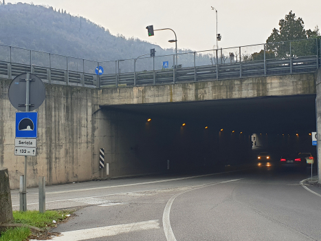 Tunnel Seriola