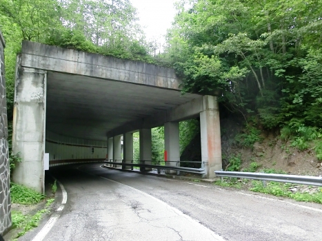 Culzei I Tunnel western portal