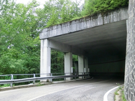 Culzei III Tunnel eastern portal