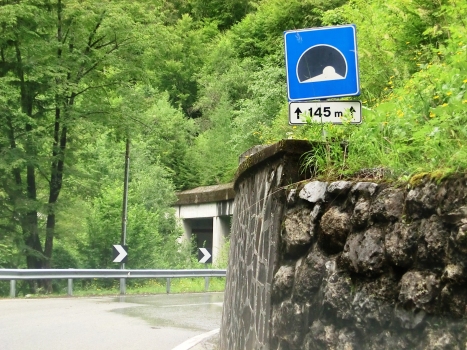 Rio Frassin Tunnel eastern portal