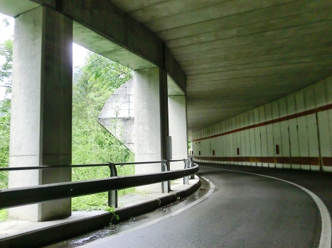 Rio Frassin Tunnel