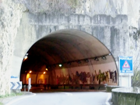 Castro II Tunnel southern portal