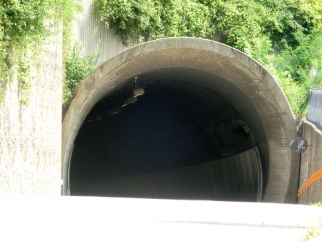Ponte Alto 2 Tunnel southern portal