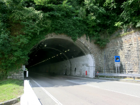 Ponte Alto Tunnel northern portal