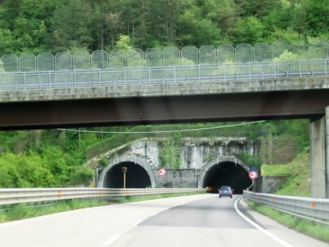 San Lorenzo Tunnel western portals