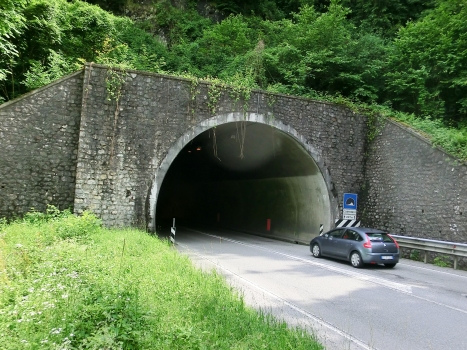 Costone II Tunnel northern portal