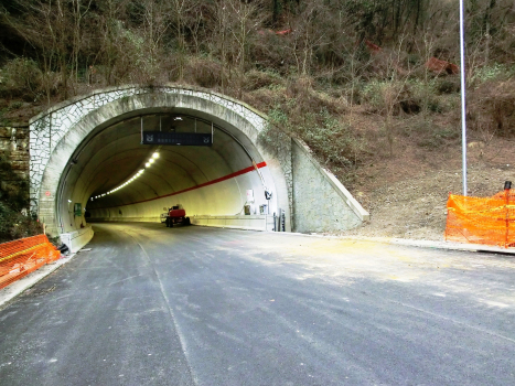 Tunnel Inzogno