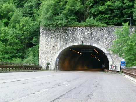 Lenna Tunnel northern portal
