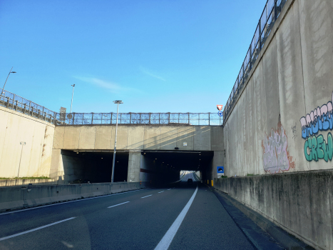 Sforzatica Tunnel northern portals