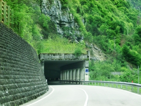 Cofanovi Tunnel northern portal