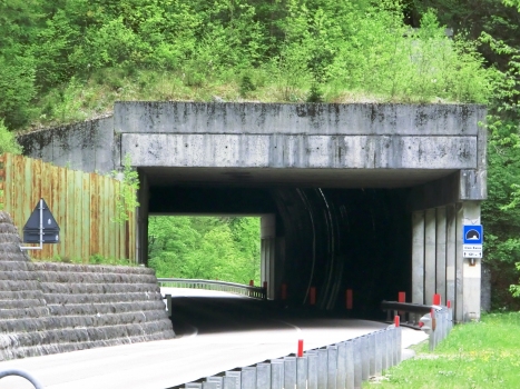 Grava Bianca Tunnel northern portal