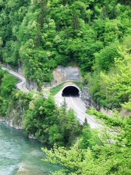 Tunnel Moline