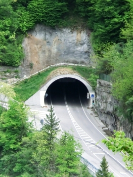 Moline Tunnel southern portal